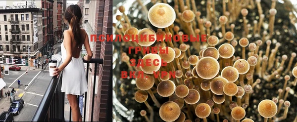мяу мяу мука Пестово