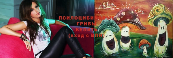 spice Покровск